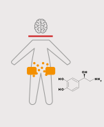 NARL ULTRASOUND SLIMMING MECHANISM LOCALISED